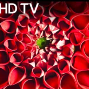 1. LG 4K TV with android box . Model number; LG43UJ6300 IPS 4K Display, Active HDR ,Utra surround. it has HDMI,USB,Optical Digital Audio output. AC100-240V ~50/60Hz.  It includes android tv box also.  4K Ultra HD Resolution 30 days warranty